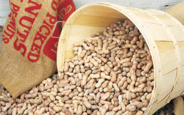 Peanut Nutrition: The Health Benefits of Eating Peanuts