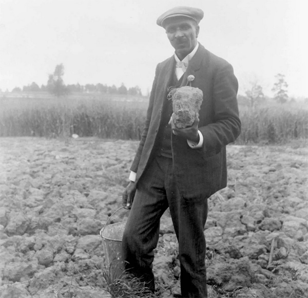 George Washington Carver in Peanut Field